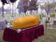 Top 10 Places To Grab Your Favorite Twinkies Before It Is Too Late